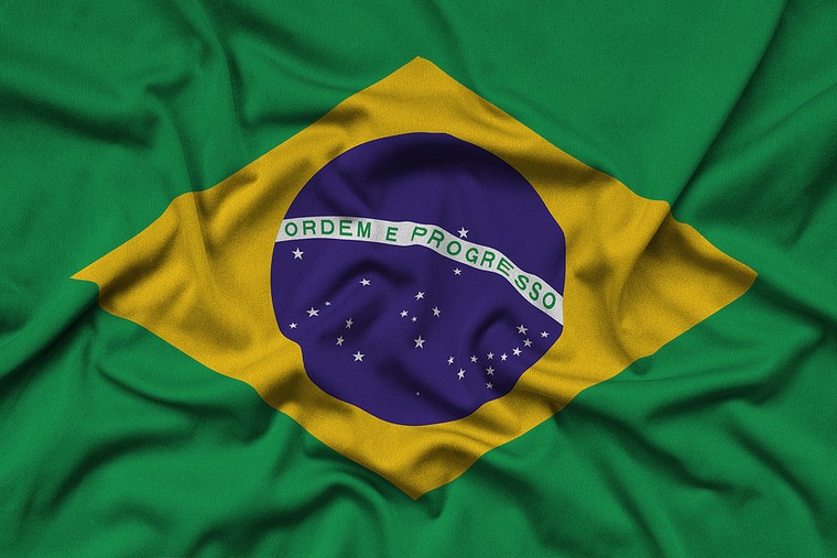 Fabric Brazil Flag