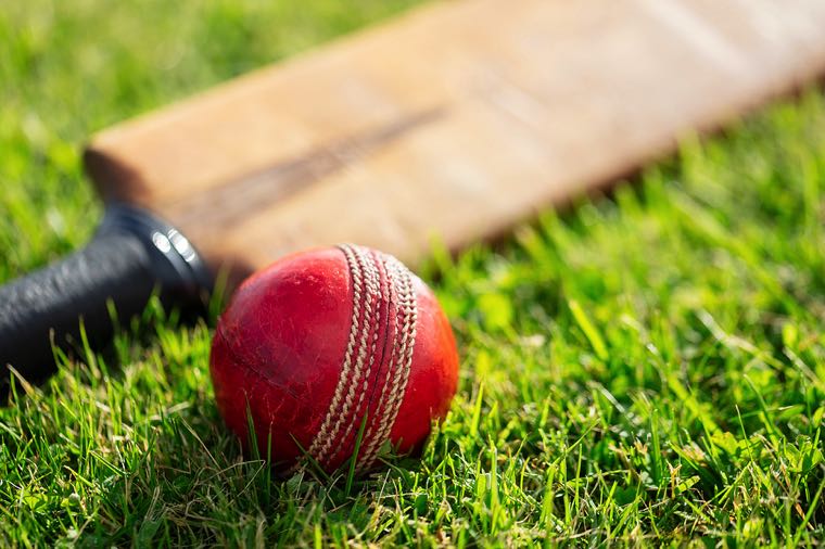 Cricket bat and ball