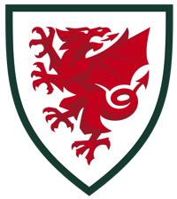 Wales football logo